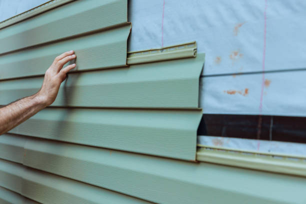 Best Vinyl Siding Installation  in West Hammond, NM